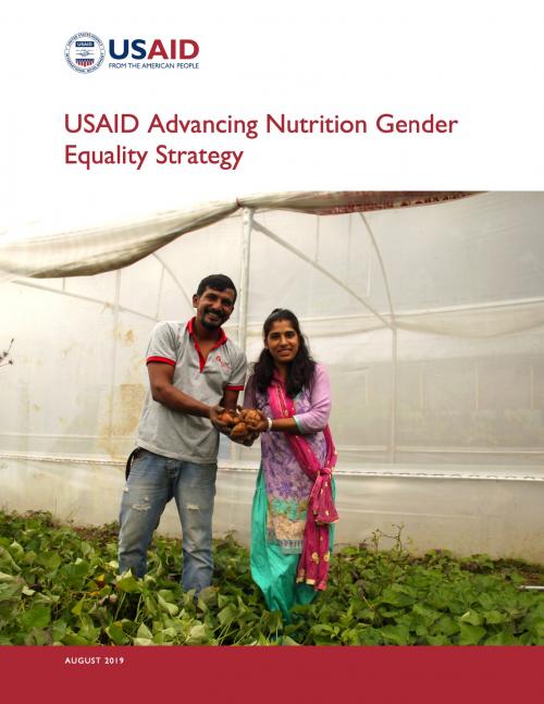 Usaid Advancing Nutrition Gender Equality Strategy Usaid Advancing Nutrition 5244